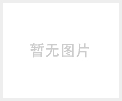 德国迪门子/DMG地面防滑剂